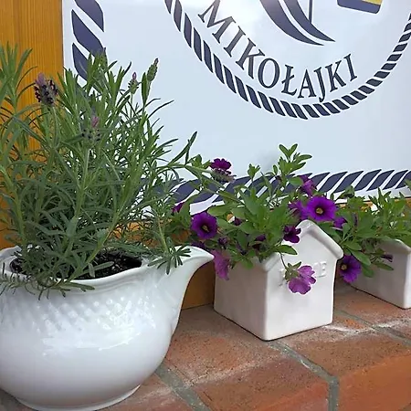 Sloneczny Port 4* Миколайки