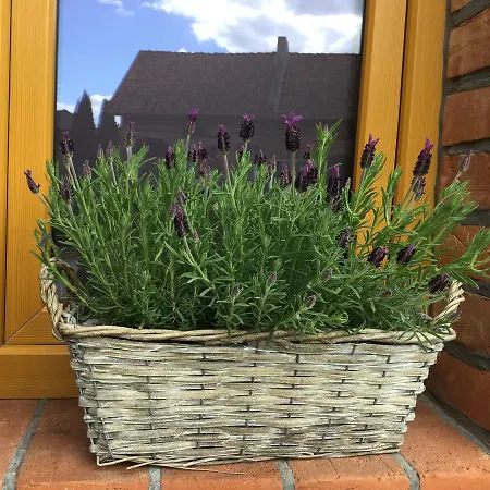 Słoneczny Port Nocleg ze śniadaniem Mikołajki