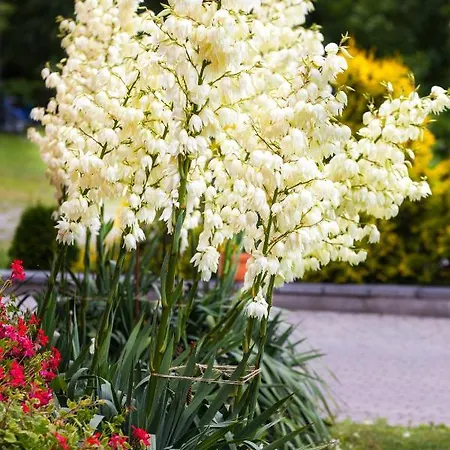 Słoneczny Port Mikołajki